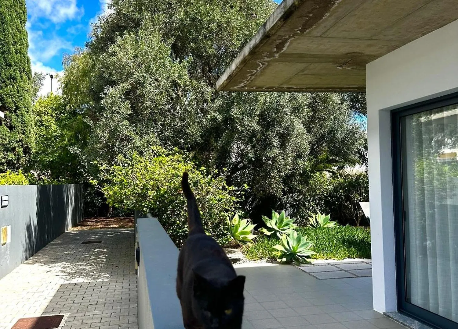 Bordal Houses Casa Da Areia ポルト・サント ポルトガル